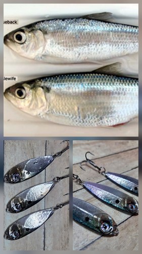 Fishing jigging casting - fishing,